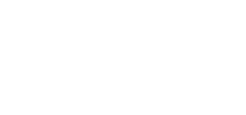 SprintOnWeb Logo